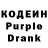 Amphetamine Premium Swetlana Kreinbring