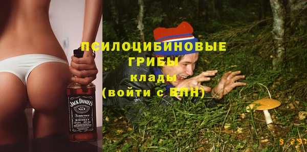 ПСИЛОЦИБИНОВЫЕ ГРИБЫ Верхний Тагил
