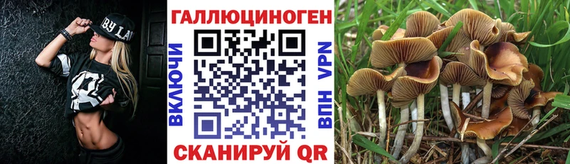 закладка  Северск  Псилоцибиновые грибы мухоморы 